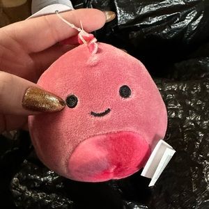 Poleena Squishmallow clip